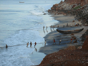 [Bild: Lokala fiskare i Kerala hämtar in näten på morgonen]